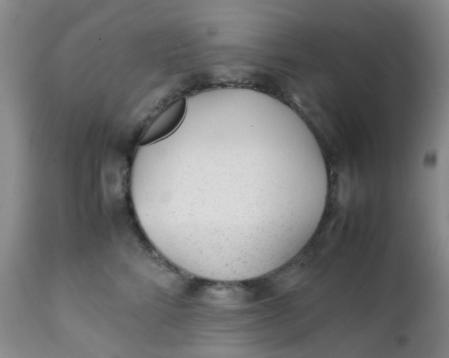 X0000112530712200908311423