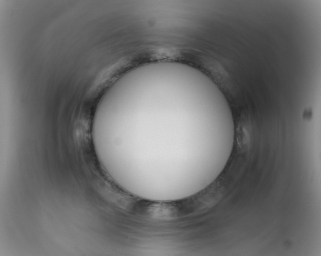 X0000112530714200908311423