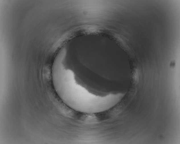 X0000112530715200908311423