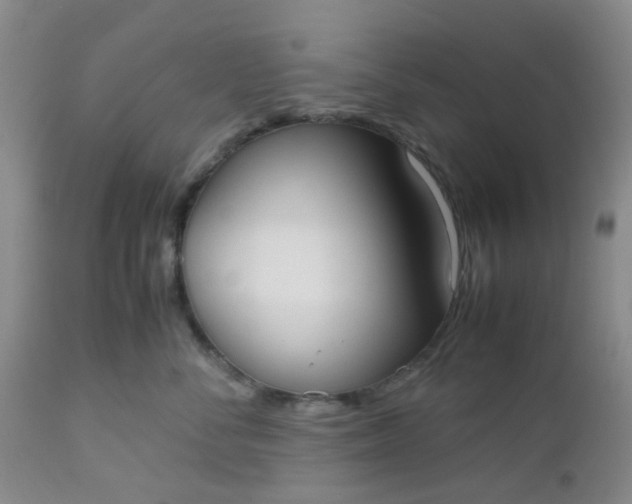 X0000112530716200908311422
