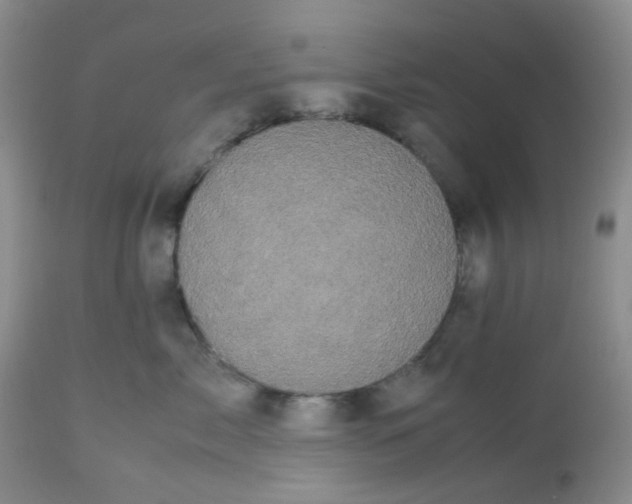 X0000112530717200908311422