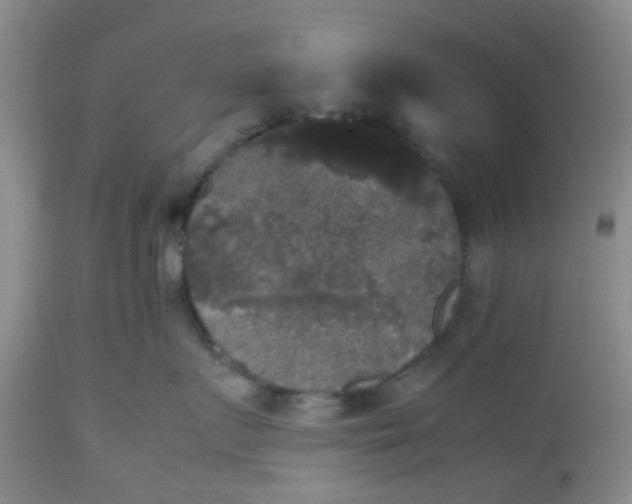 X0000112530719200908311422