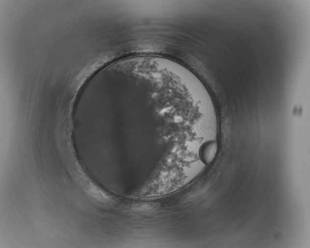 X0000112530721200908311422