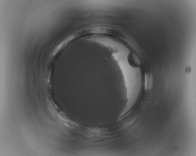 X0000112530723200908311422