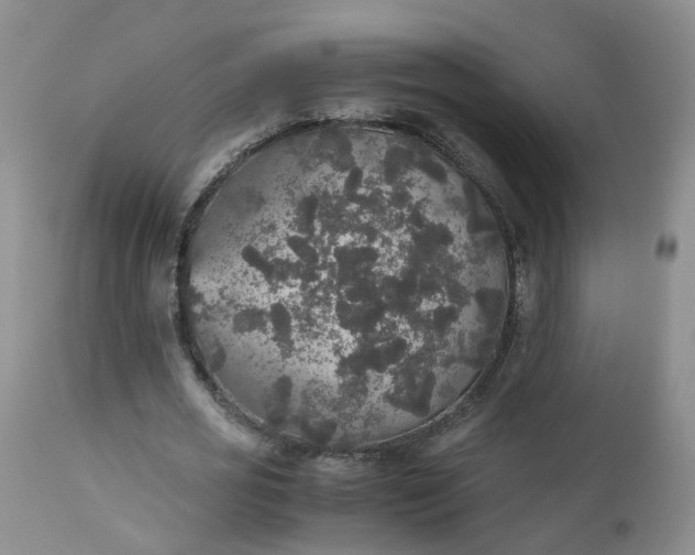 X0000112530725200908311422