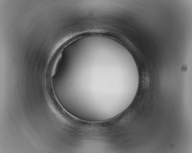 X0000112530726200908311422