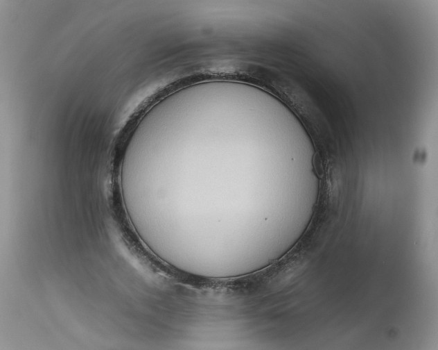 X0000112530728200908311422