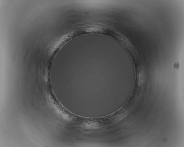 X0000112530729200908311422