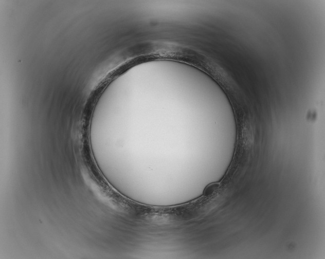 X0000112530730200908311422