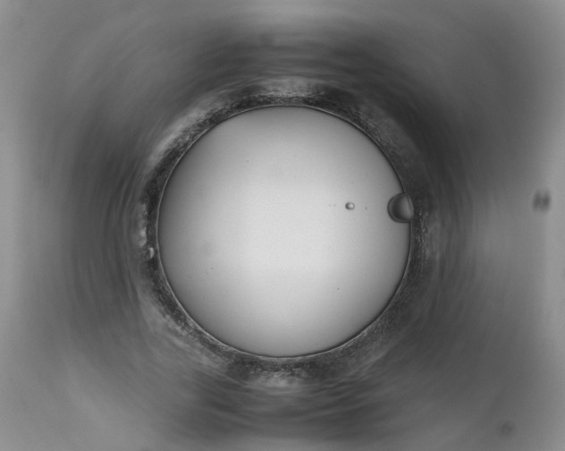 X0000112530731200908311422