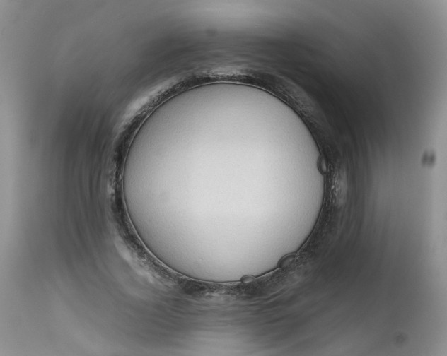 X0000112530732200908311422