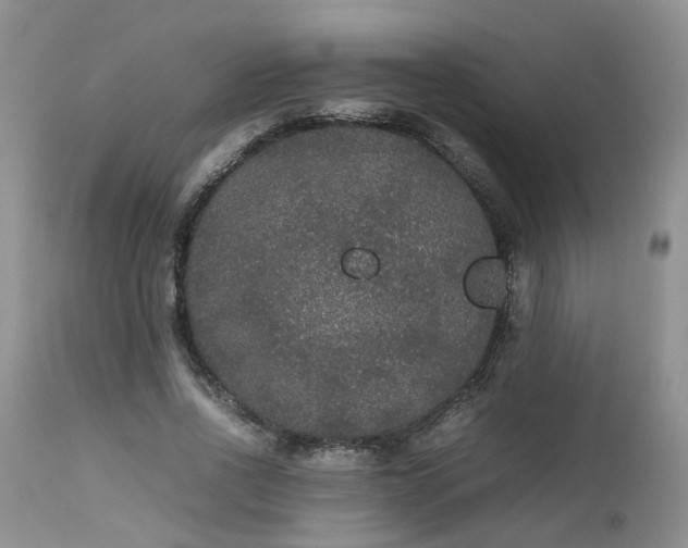 X0000112530734200908311422