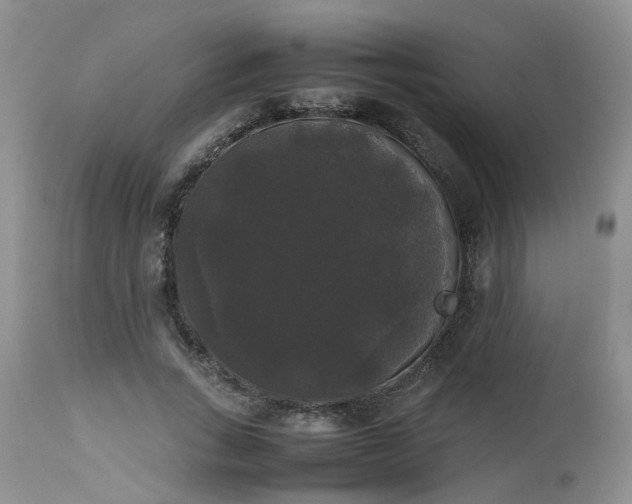 X0000112530735200908311422