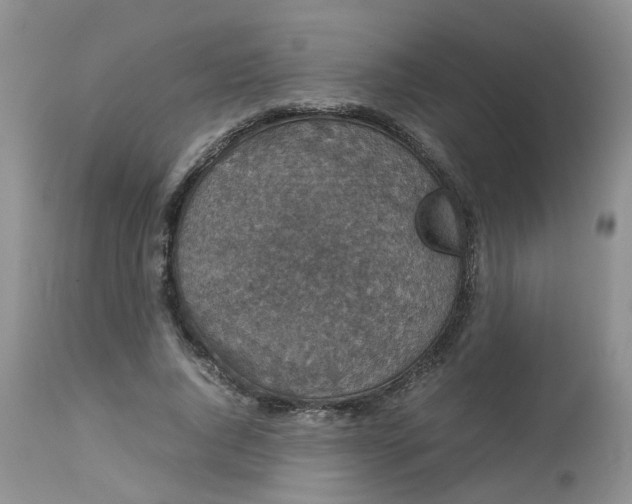 X0000112530736200908311422