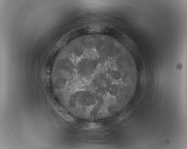 X0000112530737200908311422