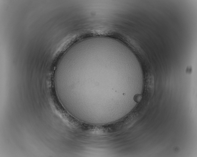 X0000112530738200908311422
