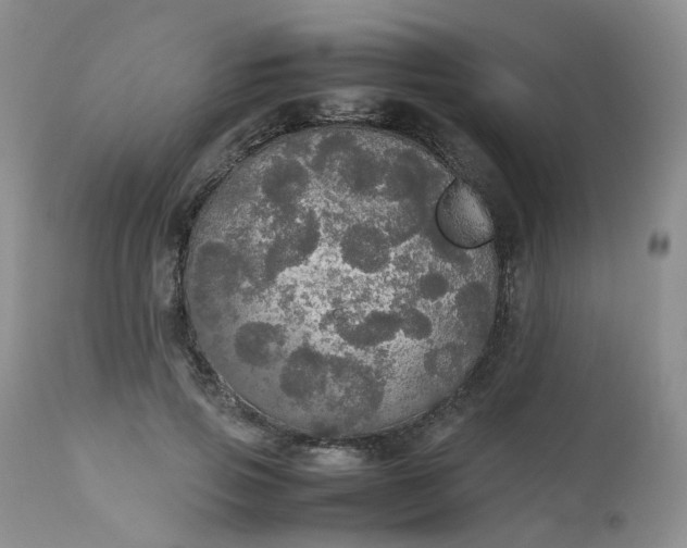 X0000112530741200908311422