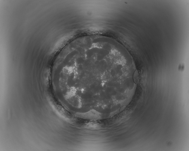 X0000112530742200908311422