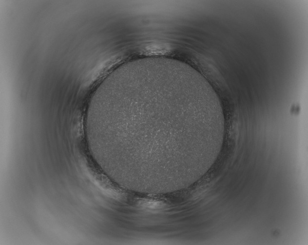 X0000112530743200908311422