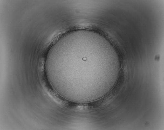 X0000112530744200908311422