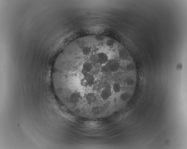 X0000112530745200908311422