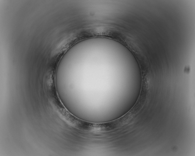 X0000112530746200908311422