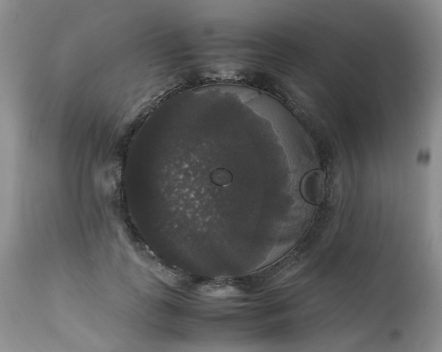 X0000112530747200908311422