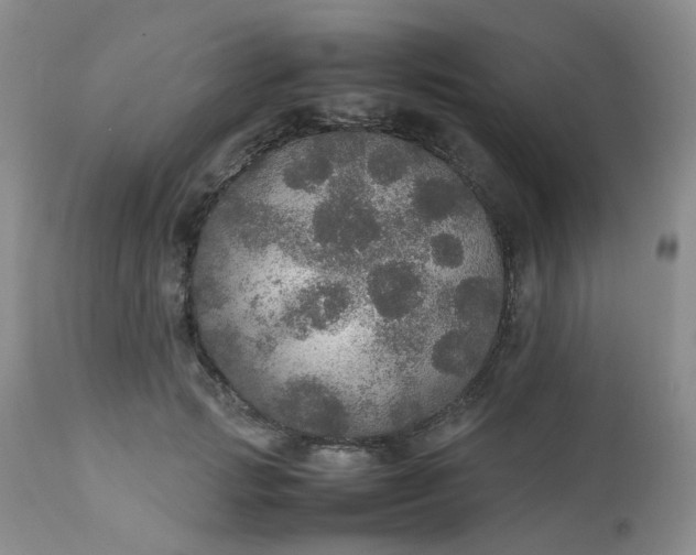 X0000112530749200908311422