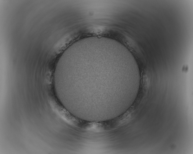 X0000112530750200908311422