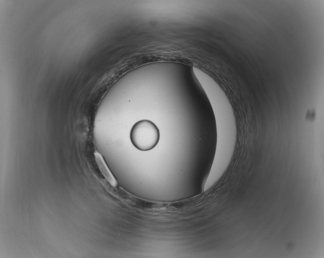 X0000112530752200908311422