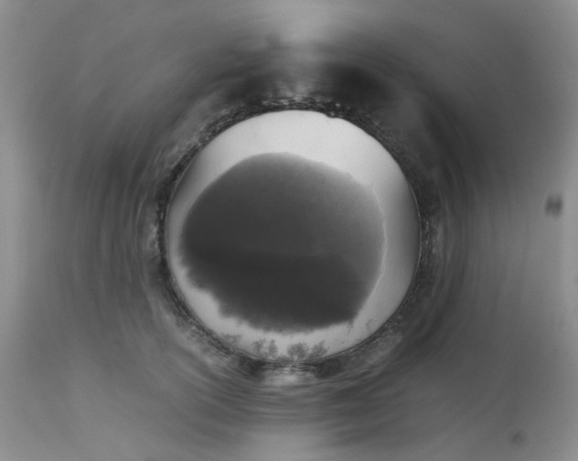 X0000112530754200908311422