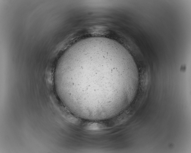X0000112530755200908311422