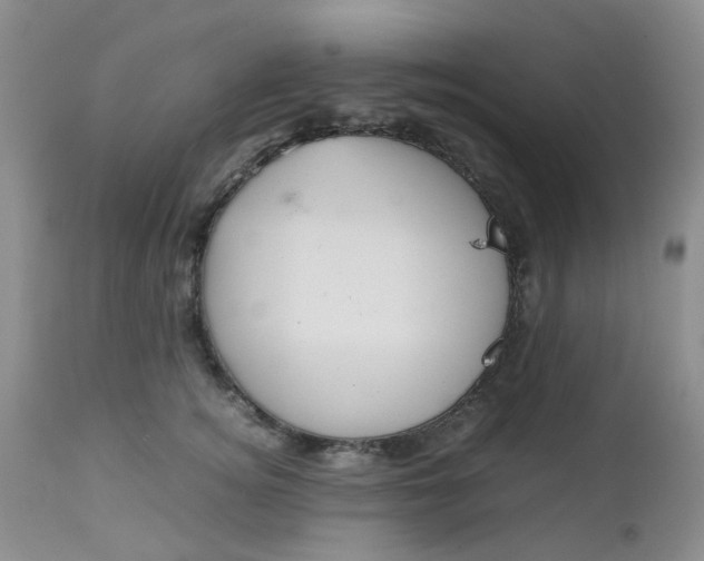 X0000112530756200908311422