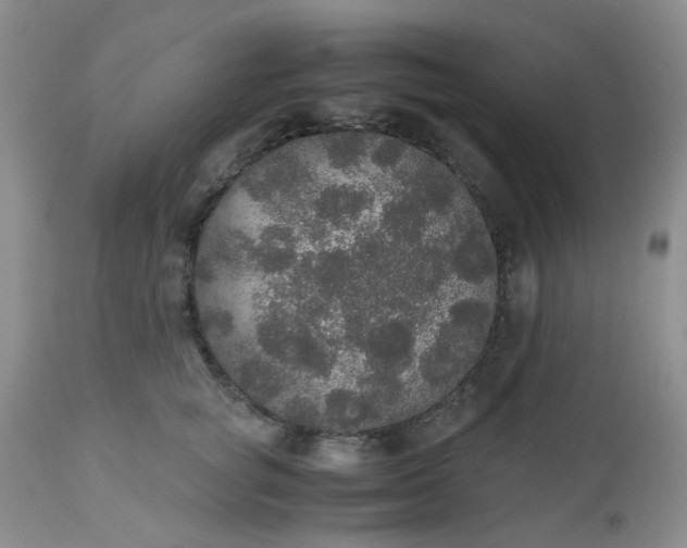 X0000112530757200908311422