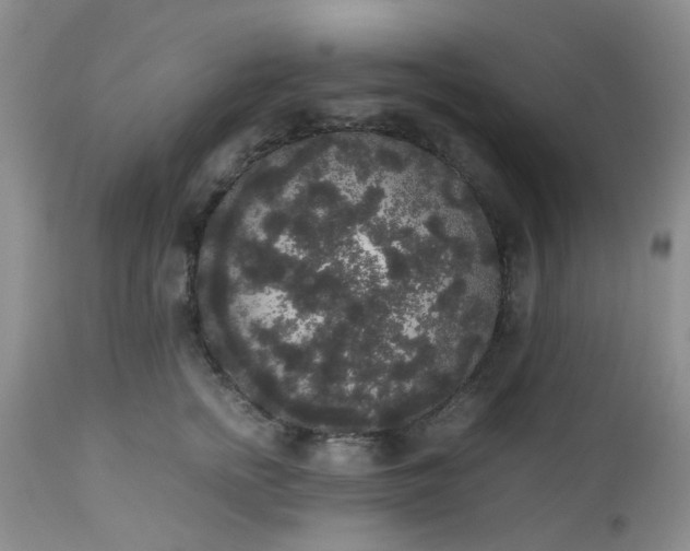 X0000112530758200908311422