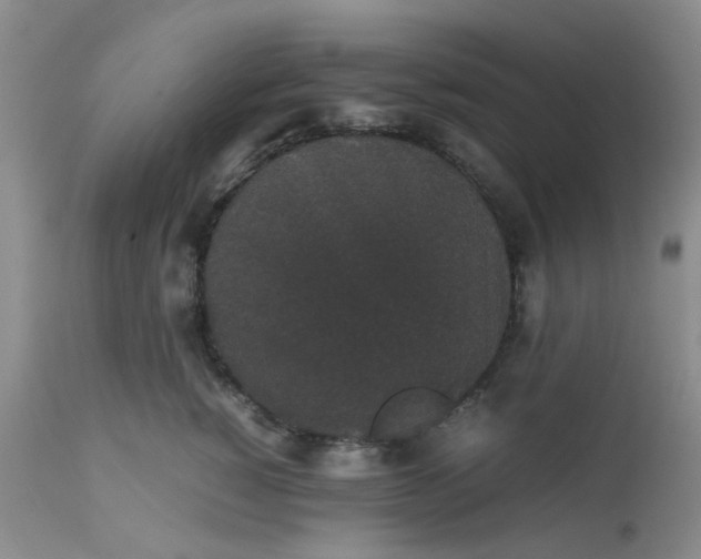 X0000112530760200908311422
