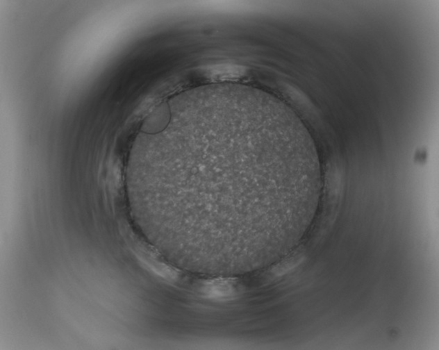 X0000112530761200908311422