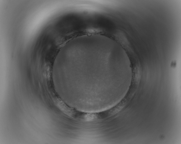 X0000112530762200908311422