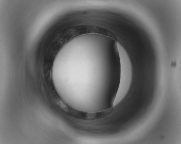 X0000112530766200908311422
