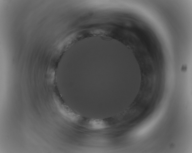 X0000112530767200908311422