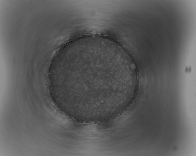 X0000112530769200908311422