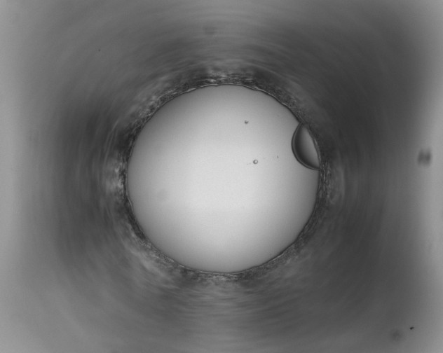 X0000112530770200908311422