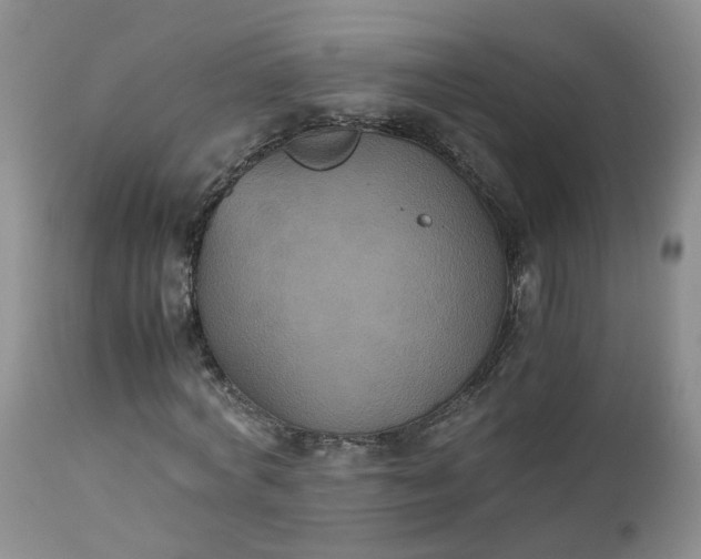 X0000112530772200908311422