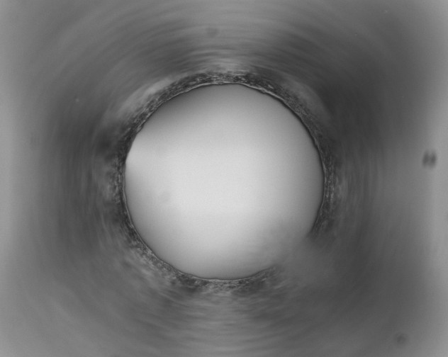 X0000112530773200908311422