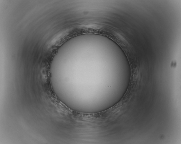 X0000112530774200908311422