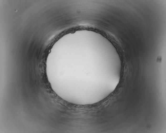 X0000112530776200908311422