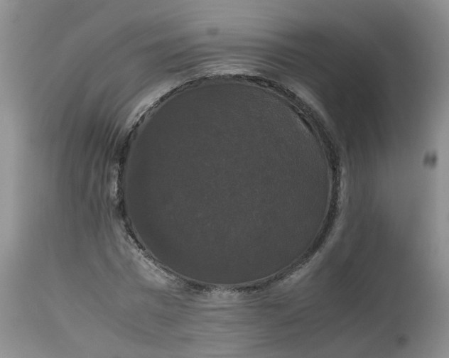 X0000112530777200908311422