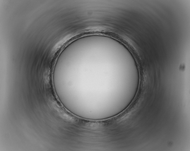 X0000112530778200908311422