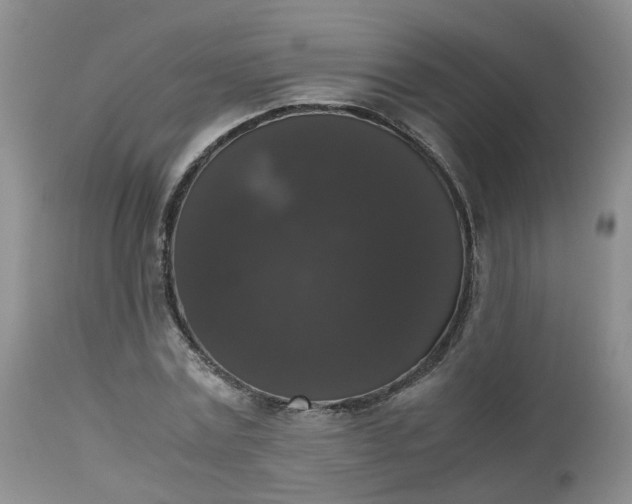 X0000112530779200908311422