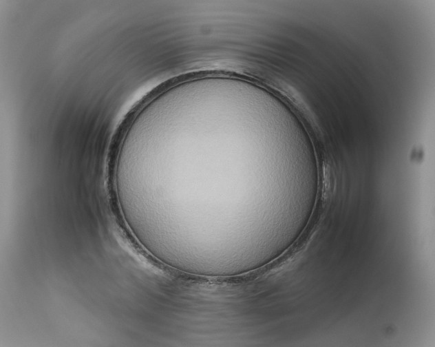 X0000112530780200908311422